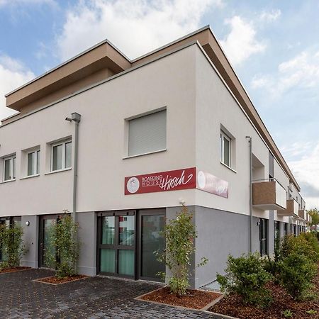 Boardinghouse Hirsch - Apartments In Kork Kehl Zewnętrze zdjęcie